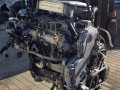 двигатель Nissan X-Trail T30 [рестайлинг] (2004 - 2007), 2.2 л., дизель, YD22 - фото №3