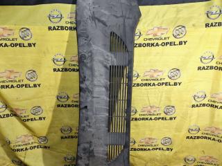 подкапотный пластик Ford Mustang Mach-E 1 поколение 2021, электро, АКПП, внедорожник 5 дв., задний привод, LJ8B-R16D672-AD