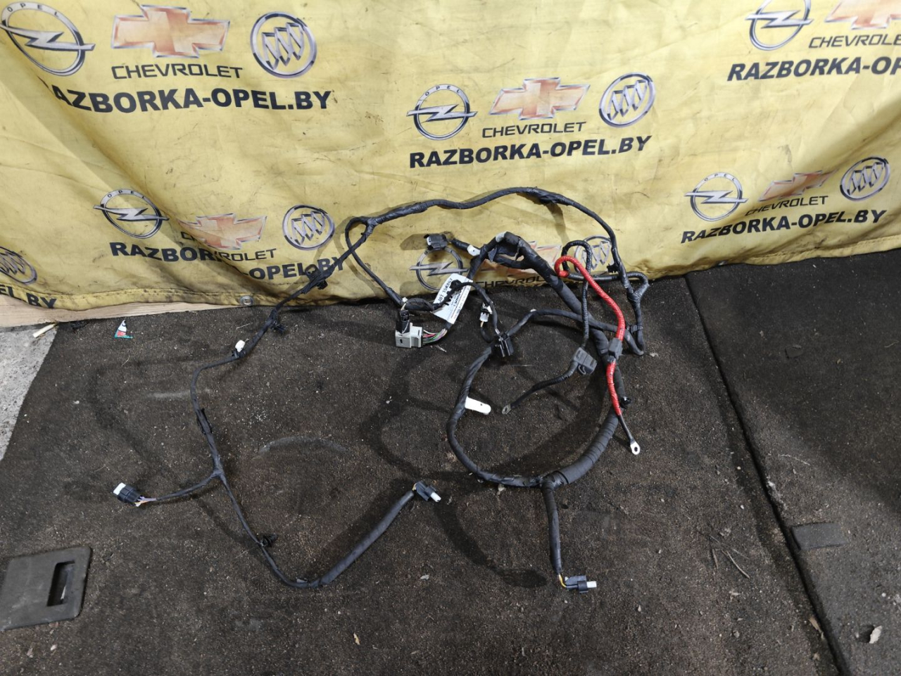 проводка бампера Ford Mustang Mach-E 1 поколение 2021, электро, АКПП, белый, внедорожник 5 дв., задний привод, LJ8T15K867 - фото №1