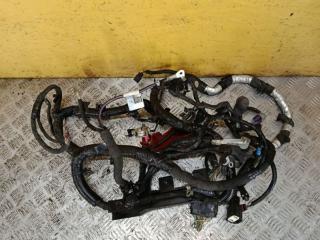 проводка двигателя Ford Edge 2 поколение CD539 [рестайлинг] 2020, 2.0 л., бензин, АКПП, белый, передний привод, K2GT-14A280-BJ