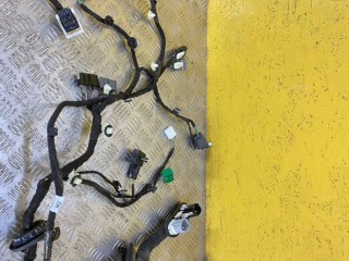 дверная проводка Ford Mustang Mach-E 1 поколение 2021, электро, АКПП, белый, внедорожник 5 дв., задний привод, LJ8T14631NBE