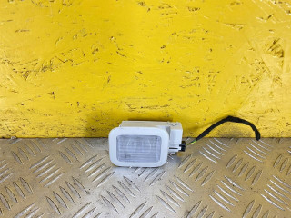 фонарь салона (плафон) Ford Escape 4 поколение CX482 2021, 1.5 л., бензин, АКПП, передний привод, LJ6A-13K767-AB3HV1