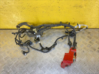 проводка двигателя Ford Bronco Sport 1 поколение 2021, 1.5 л., бензин, АКПП, полный подключаемый привод, NX6T14305XUC