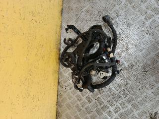 проводка Ford Mustang Mach-E 1 поколение 2021, электро, АКПП, внедорожник 5 дв., задний привод, LJ8T-12B637NAE