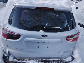 крышка багажника (дверь 3-5) Ford EcoSport 2 поколение B515 [рестайлинг] 2021, 2.0 л., бензин, АКПП, серебристый, хетчбэк 5 дв., полный подключаемый привод