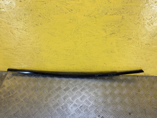 молдинг двери задней левой Ford Mustang Mach-E 1 поколение 2021, электро, АКПП, белый, внедорожник 5 дв., задний привод