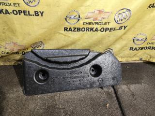 ниша запасного колеса Ford Mustang Mach-E 1 поколение 2021, электро, АКПП, внедорожник 5 дв., задний привод, LJ8BR01688AE