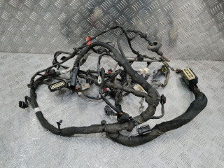 проводка Dodge Charger 7 поколение [рестайлинг] 2020, 3.6 л., бензин, P68428606AC