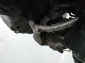 компрессор кондиционера Audi A4 B6 2002, 1.9 л., AVF, дизель - фото №6