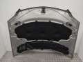 капот Mercedes-Benz M-Класс W164 2007 - фото №7
