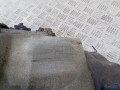 КПП механическая (МКПП) Renault Clio 2 поколение [2-й рестайлинг] 2004, 1.4 л., бензин, МКПП, JB1510, JB1 - фото №7