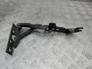петля капота правая BMW X5 E53 [рестайлинг] 2005, 41618402174