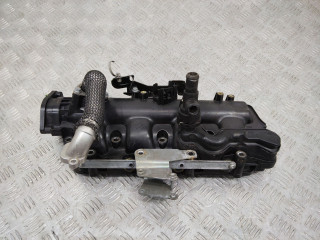 коллектор впускной Opel Insignia 1 поколение (A) 2011, 2.0 л., дизель, 55571993