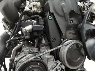 защита (кожух) ремня ГРМ Volkswagen Passat B5 [рестайлинг] 2002, 1.9 л., AVB, дизель, МКПП, 038103079