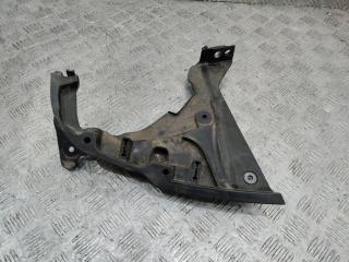 уголок жабо правый Renault Scenic 4 поколение 2017, 668623817R