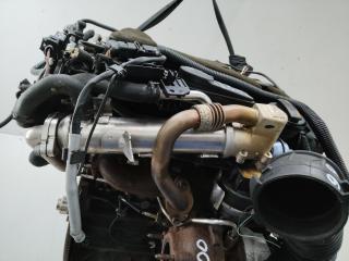 охладитель EGR / Радиатор EGR Audi A4 B8/8K 2008, 2.0 л., дизель, МКПП, 03L131312