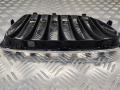 решетка радиатора BMW X1 E84 2011, 2993305 - фото №5