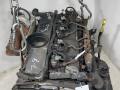 двигатель Ford Transit 7 поколение 2009, 2.2 л., дизель, P8FA, P8FB, SRFA, QVFA, 4HU, 4HV, 10TRJ, QWFA - фото №3