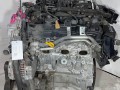 двигатель Nissan Murano Z51 2009, 3.5 л., VQ35HR, бензин, VQ35DE, VQ35, VQ35HR - фото №4