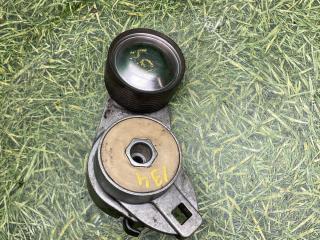 ролик натяжителя Volvo FH 2 поколение 2003, 12.1 л., D12D460, дизель, МКПП, 3979980