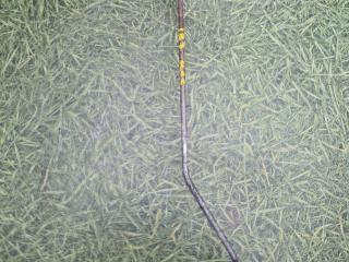 масляная трубка Scania 5-Series 2011, 15.6 л., DC 16.19, дизель, АКПП, 1722805