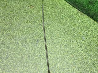 щуп двигателя MAN TGX 1 поколение 2015, 12.4 л., D 2676 LF 26, дизель, МКПП, 51058055922