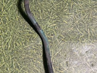 трубка топливная Volvo FH 3 поколение 2012, 12.8 л., D13C500, дизель, АКПП, 978881, 977754