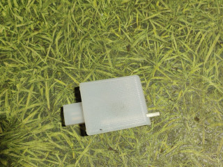 фонарь салона (плафон) MAN TGX 1 поколение 2017, 12.4 л., D 2676 LF 52, дизель, АКПП, правый руль, 81252016272