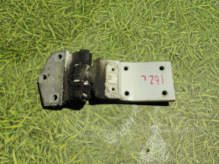 петля двери DAF XF 106 1 поколение 2018, дизель, АКПП, правый руль, 1881893, 2176516