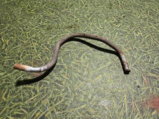 трубка охлаждающей жидкости Scania 4-Series 2004, 15.6 л., DC 16.01, дизель, МКПП, 1377002