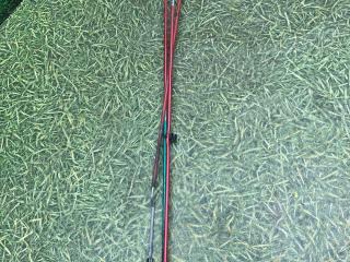 замок двери передней правой DAF XF 105 1 поколение 2010, 12.9 л., MX 300, дизель, МКПП, 1439247, 1678187, 1296591, 1311164