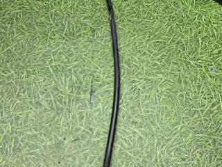 трубка масляного щупа MAN TGX 1 поколение 2015, 12.4 л., D 2676 LF 26, дизель, МКПП, 51974010552