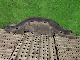 защита двигателя DAF XF 106 1 поколение 2018, 12.9 л., MX-13 375, дизель, АКПП, правый руль, 2032114