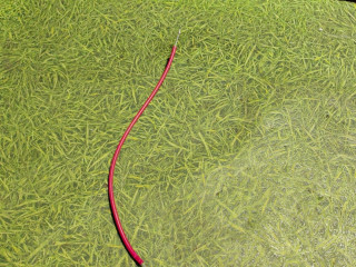 тросик печки DAF XF 105 1 поколение 2010, 12.9 л., MX 340, дизель, МКПП, 1681105