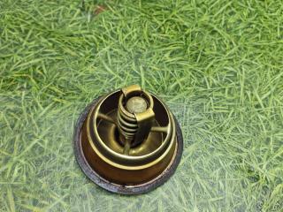 термостат Renault T-Series 1 поколение 2014, дизель, АКПП, 21412639