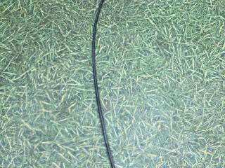 тросик бардачка кабины MAN TGA 1 поколение 2005, 10.5 л., D 2066 LF 11, дизель, АКПП, 81626800132