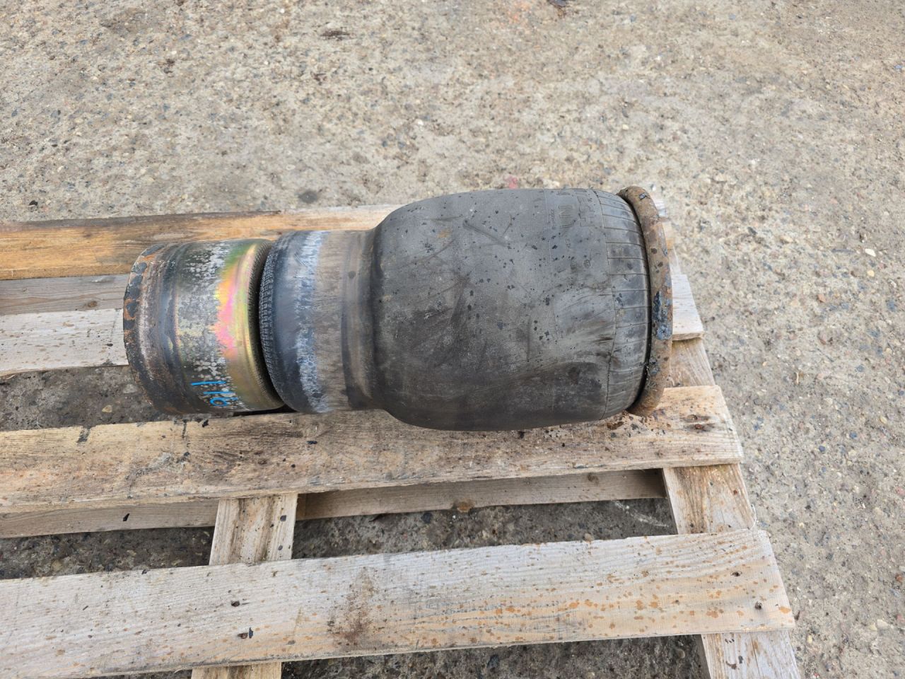 пневмоподушка MAN TGX 1 поколение 2015, 12.4 л., D 2676 LF 26, дизель, МКПП, 81436010152 - фото №1