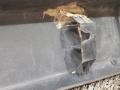 молдинг (накладка кузовная) Fiat Ducato 2 поколение 1999, 2.8 л., 8140.43, дизель, МКПП, белый, фургон, передний привод, 1300086070 - фото №11