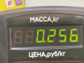 ус под фонарь левый Mazda 626 GF [рестайлинг] GF 1999, 1.8 л., i, бензин, МКПП, бежевый, седан, передний привод - фото №4