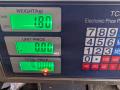 решетка радиатора Mercedes-Benz S-Класс W140/C140 [рестайлинг] W140 1994, 3.5 л., дизель, АКПП, фиолетовый, седан, задний привод, 1408881241, 1408881141, 3086 - фото №12