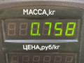опора амортизатора верхняя (чашка) Nissan Bluebird T12/T72 1987, 2.0 л., бензин, МКПП, бордовый, хетчбэк 5 дв., передний привод - фото №3