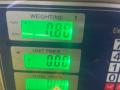 ремень безопасности Hyundai Terracan 1 поколение 2003, 2.5 л., D4BH, дизель, АКПП, серебристый, внедорожник 5 дв., полный подключаемый привод, 1KO4241431 - фото №4