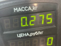 защита (кожух) ремня ГРМ Nissan Almera N15 [рестайлинг] 1999, 2.0 л., CD20, дизель, МКПП, серебристый, седан, передний привод - фото №3