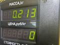 тепловой экран глушителя Citroen Xsara 1 поколение 1998, 1.6 л., бензин, 5МКПП, зелёный, хетчбэк 3 дв., передний привод - фото №10