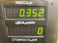 уплотнитель двери Mazda Demio 1 поколение [рестайлинг] 2001, 1.3 л., бензин, МКПП, зелёный, хетчбэк 5 дв., передний привод - фото №2