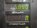 вентилятор радиатора Citroen Xsara 1 поколение 1998, 1.6 л., бензин, 5МКПП, зелёный, хетчбэк 3 дв., передний привод - фото №10