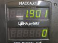амортизатор задний правый Volkswagen Jetta 4 поколение 2001, 2.0 л., AQY, бензин, МКПП, синий, седан, передний привод, MT343348 - фото №15