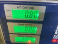 ремень безопасности Opel Zafira 1 поколение (A) 2002, 2.2 л., дизель, 5МКПП, серебристый, минивэн, передний привод, 90580902 - фото №10