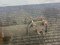 стойка передняя правая Fiat Punto 2 поколение 2002, 1.8 л., 188 A6.000, бензин, МКПП, серый, хетчбэк 3 дв., передний привод - фото №4