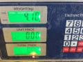 пружина задняя Opel Zafira 1 поколение (A) 2000, 2.0 л., Z 20 DTJ, дизель, МКПП, синий металлик, минивэн, передний привод - фото №10